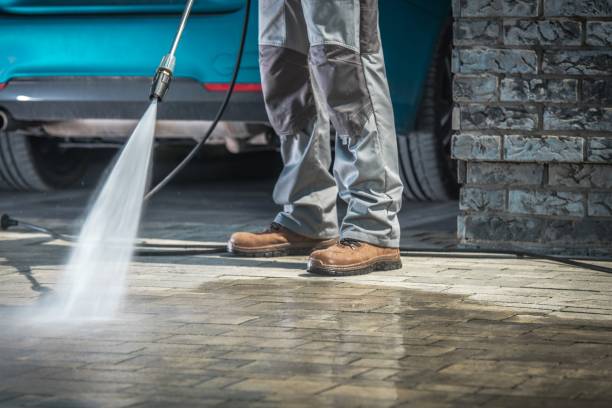 Best Soft Washing for Delicate Surfaces in Pasadena, TX
