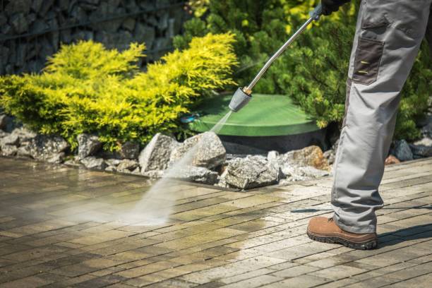 Best Vinyl Siding Pressure Washing in Pasadena, TX
