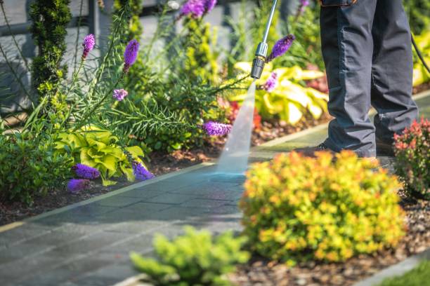 Best Fence Cleaning and Maintenance in Pasadena, TX