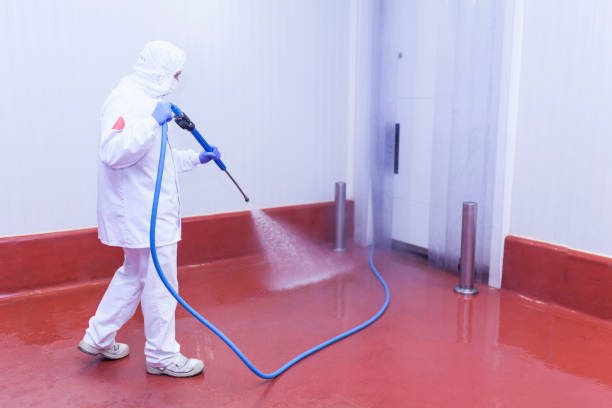 Best Roof Cleaning and Mildew Removal in Pasadena, TX