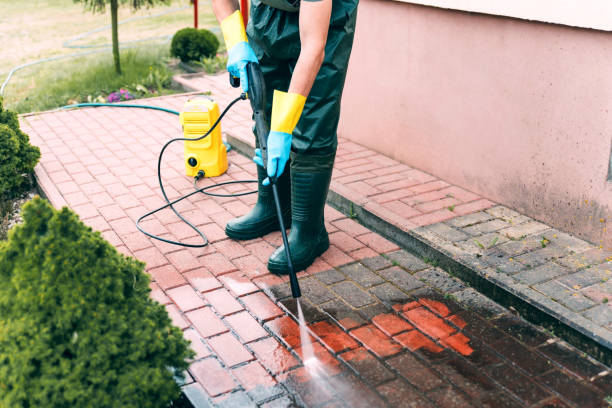Best Window and Screen Pressure Cleaning in Pasadena, TX